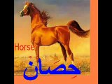 YouTube - Learn Arabic with Khaled 4