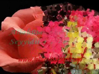 bizi mahşerde unutma ne olur www.islammenzili.com