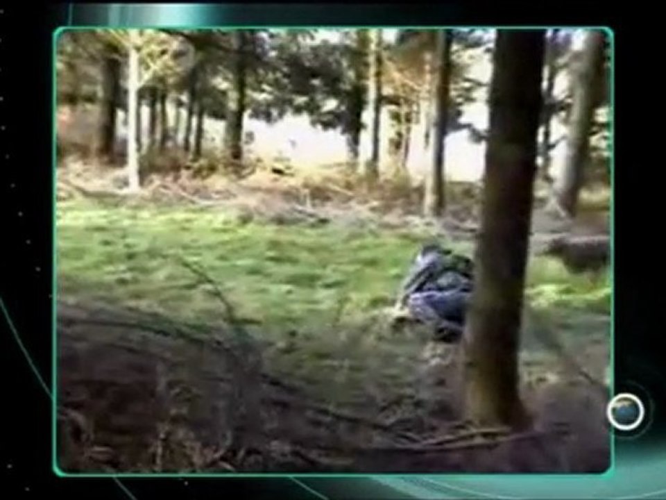 Reportage révoltant sur l'ALF- ARTE....  Qu'en pensez-vous?