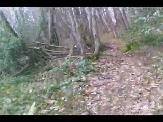 Sacré Trail 2010: nouveaux parcours