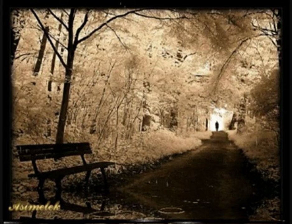 Özgün Direniyorum Yokluguna AS