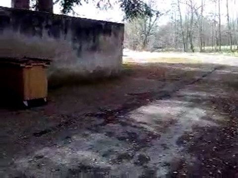 ovetto manston révo; pas réglé VS derbi euro3 en airsal 78cc