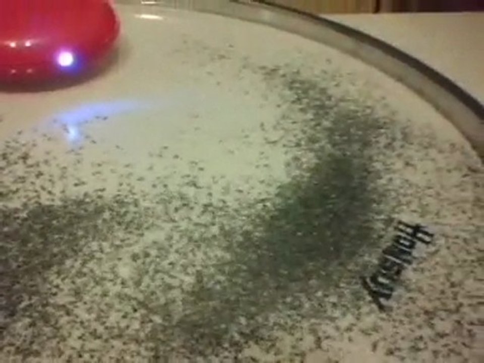 Sonar Speaker en acción