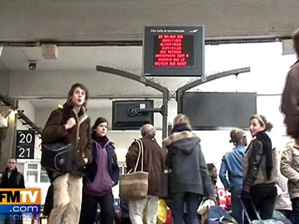 Tempête à Paris : dégâts minimes