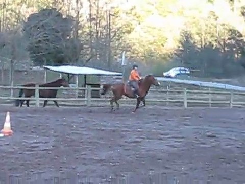 séance obstacle 28/02/2010 double vertical/oxer