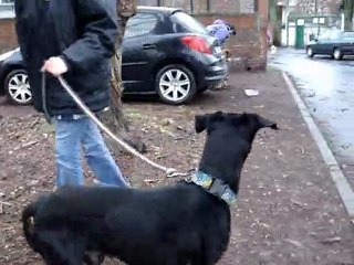 leni 7 ans spa douai 59