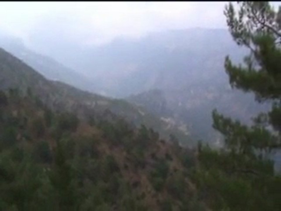 koramşalı 2009 yeni