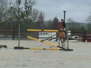 On The Noune vertical