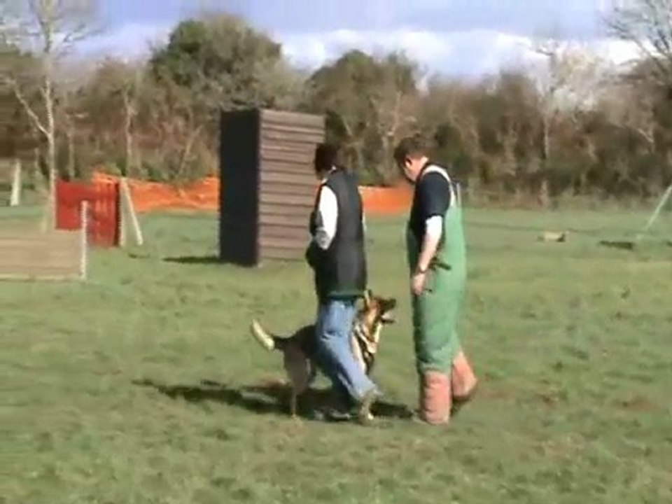 Destinée mordant 20 mois