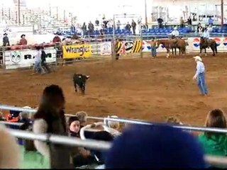 Parada del Sol Rodeo
