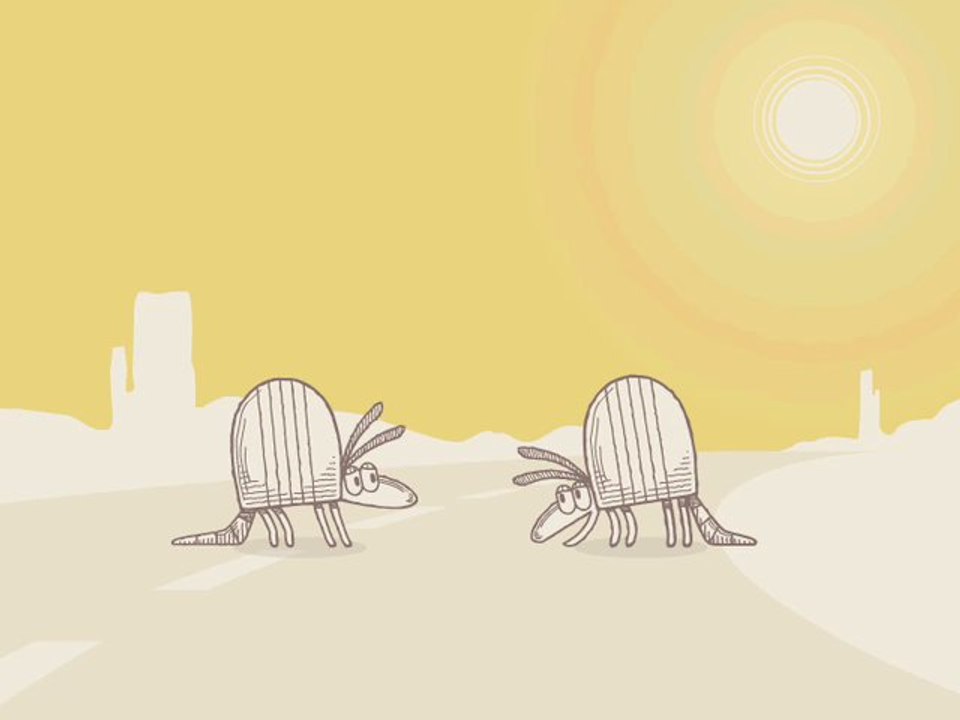 Nature Break - Armadillos #11