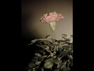 Seems Like Old Times