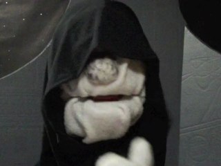 Ask Palpatine 202: Load-Bearing Chicks