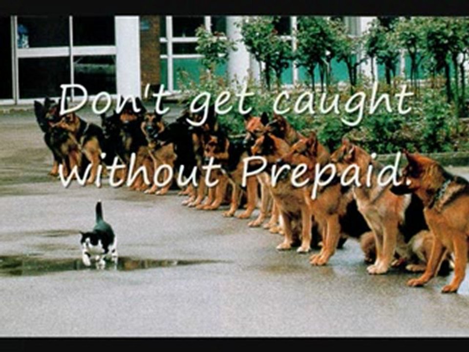 PrePaid Legal Services