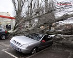 La tempête Xynthia fait des dégâts en Lorraine
