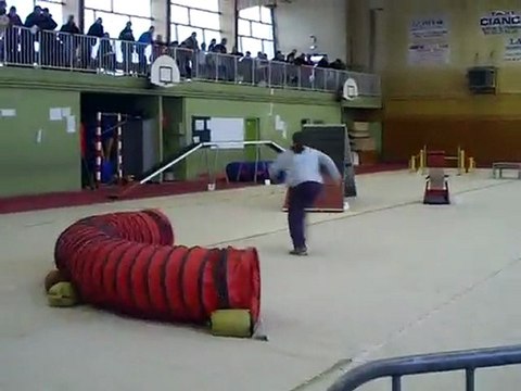 dixie concours d'agility audun le roman 21/02/2010 OPEN