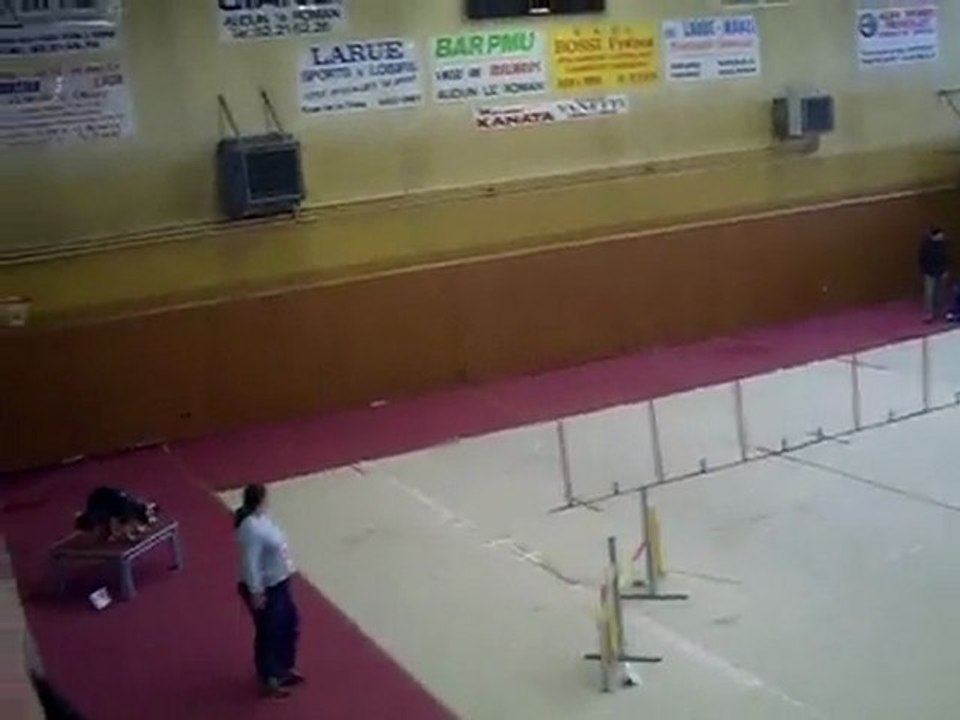 Dixie Concours d'agility audun le roman 21/02/2010   2èDegré