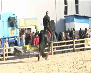 LES FRISONS DE MOUGINS