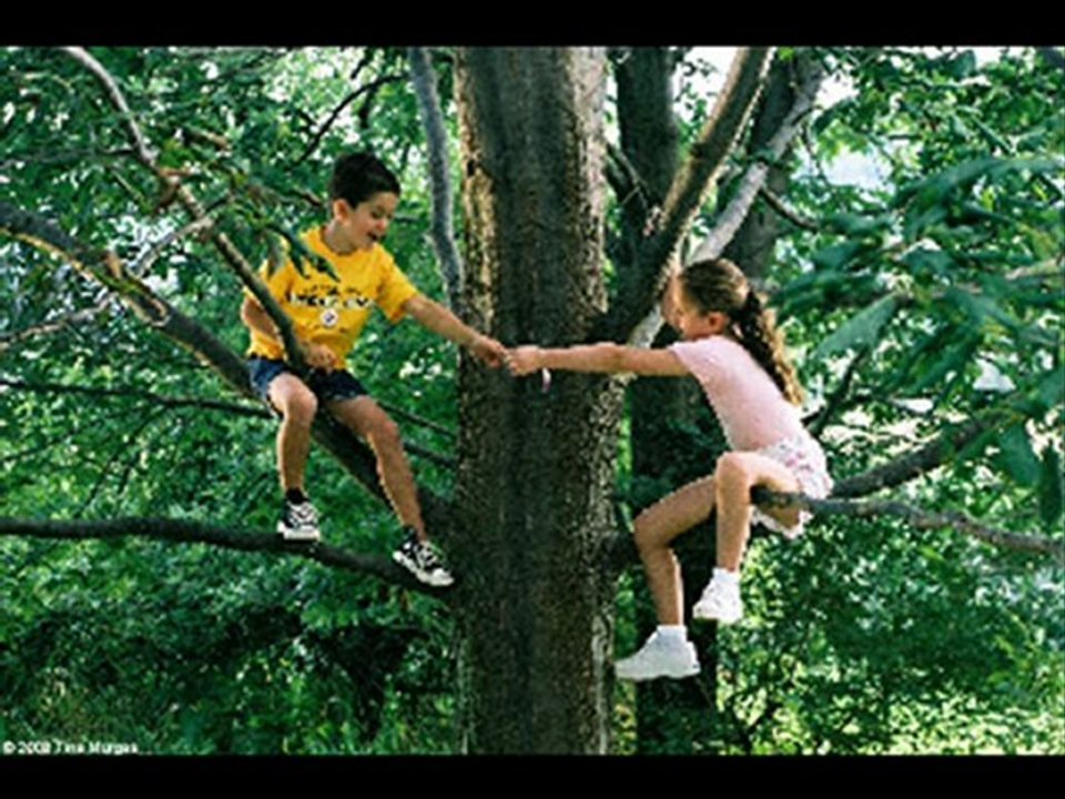 Happy Valley (2008) Part 1 of 14 Watch FREE