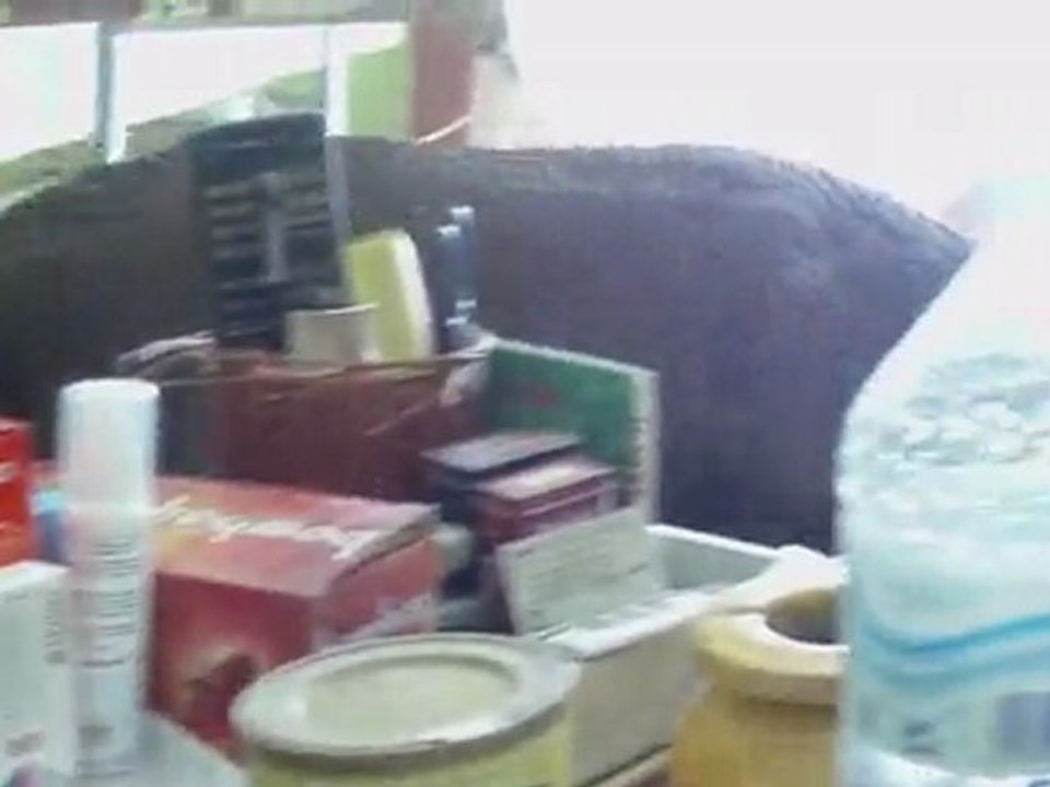 IMAG0012