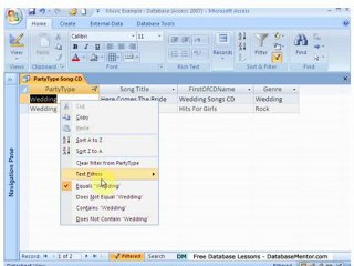 Access Query First - Music Database Part 8