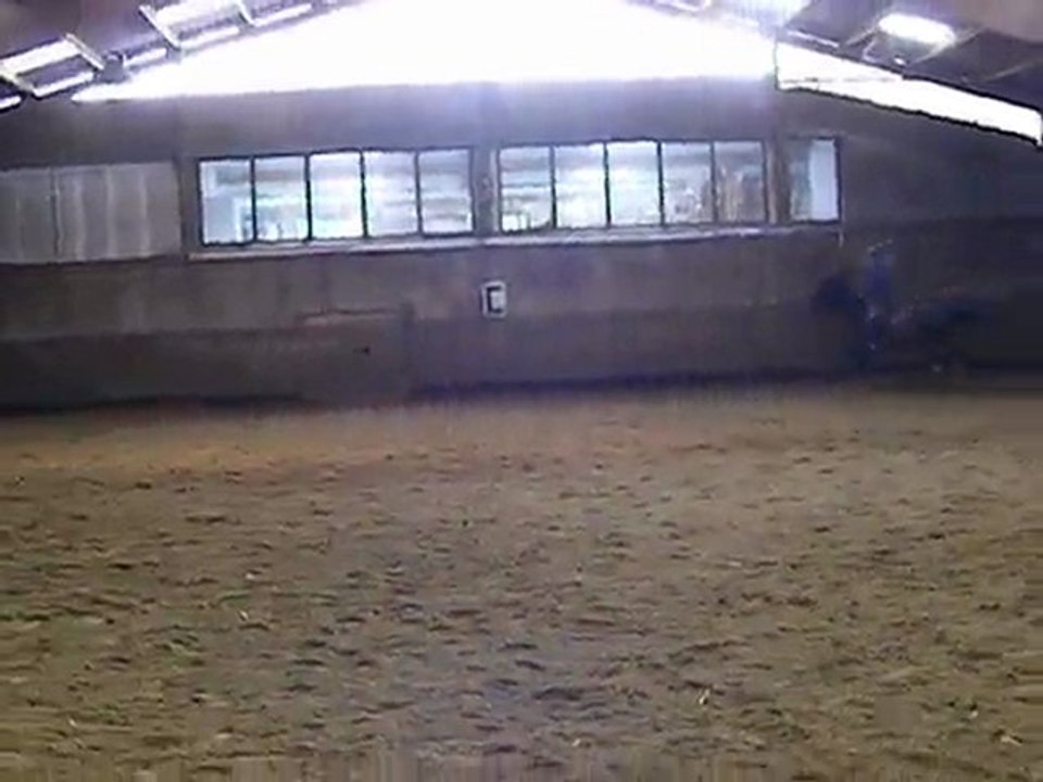 26 fév : Laïla et Havane