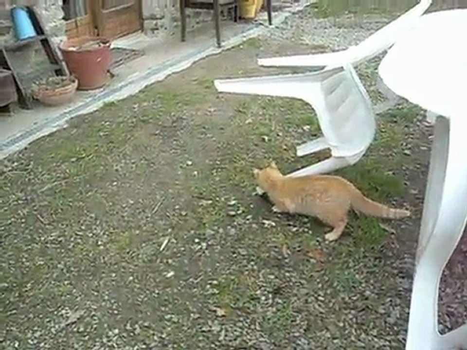 caramel