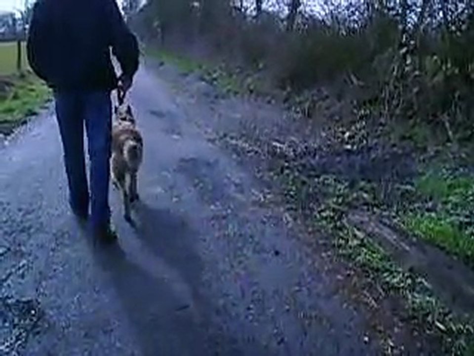 EROS FEVRIER 2010 - 2