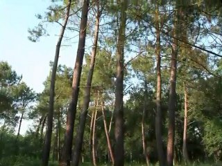 Des paysages à découvrir