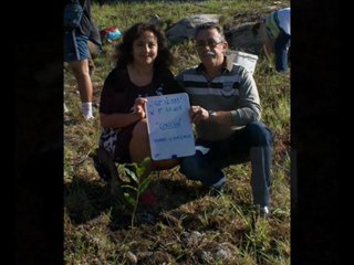 COMO PLANTAR UN ÁRBOL EN CANGAS DE MORRAZO.PLANTATE EN ...