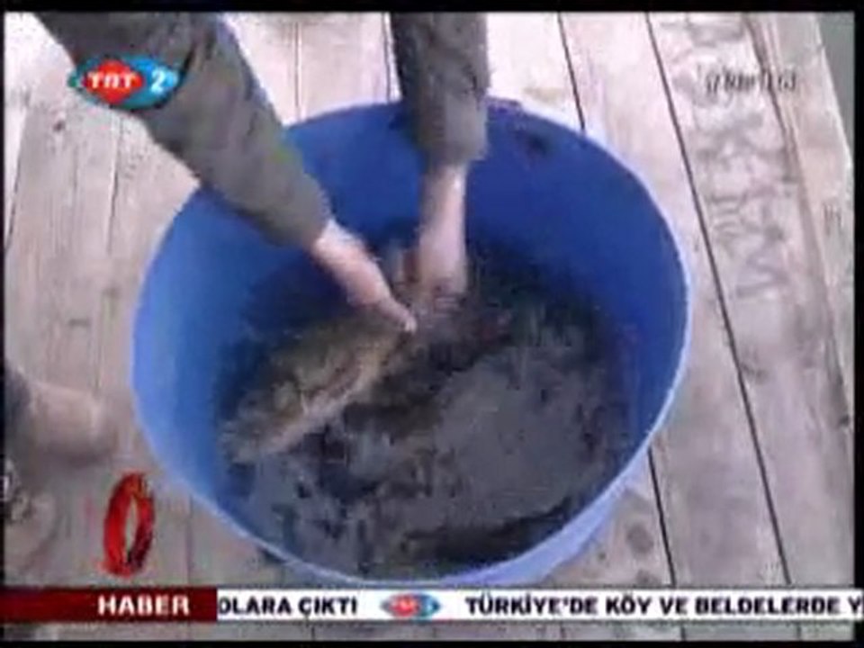 Efteni Golu - Haber Anadolu TRT - 28.02.2010