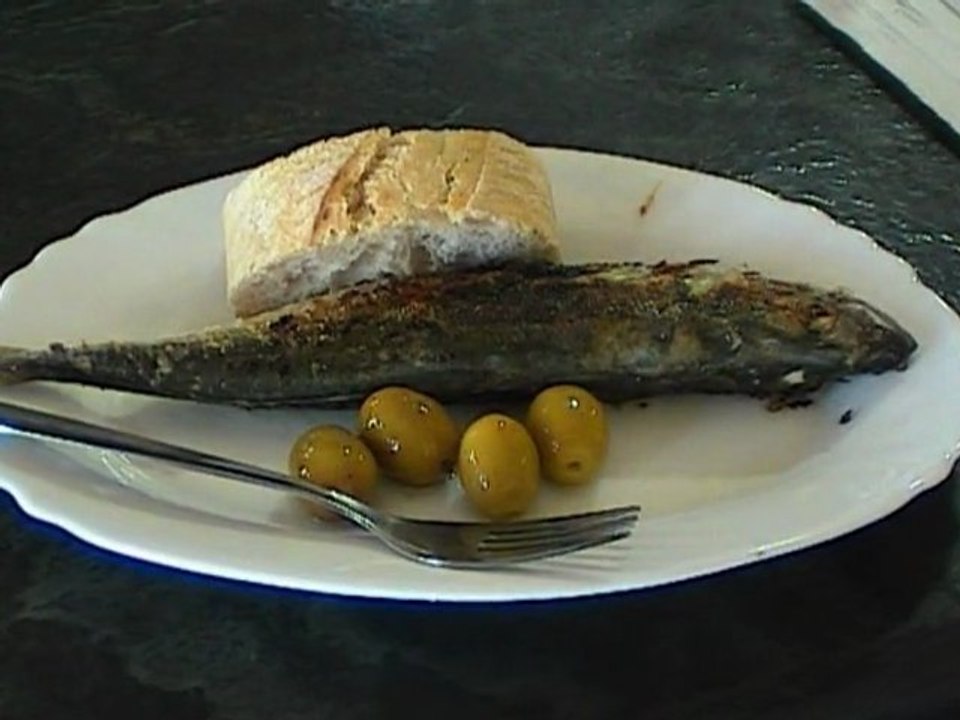 Cuatro parcelas en La Alpujarra