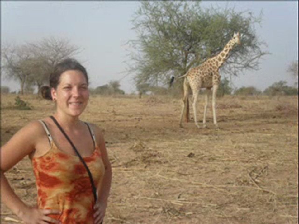 Les dernières Girafes de l’Afrique de l’Ouest