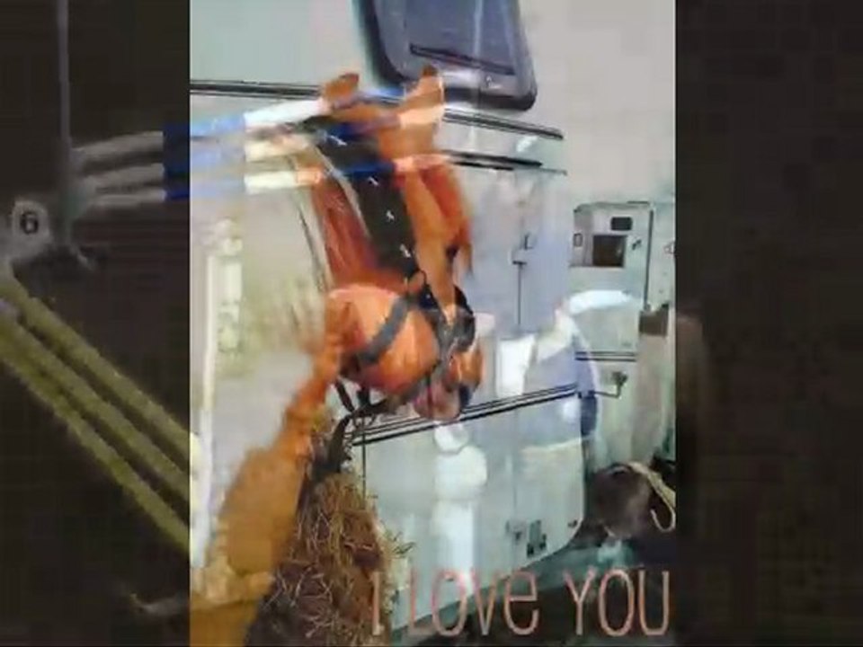 lOopiing_x3