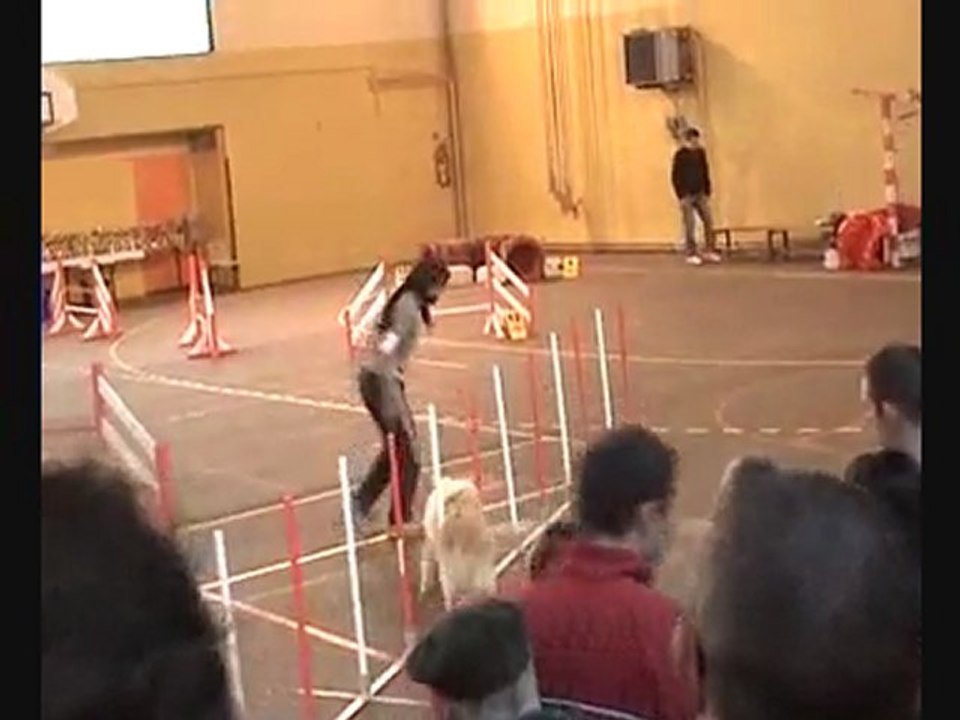 Jumping seurre 28.02.2010