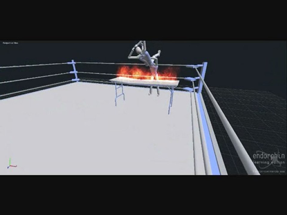 Endorphin Wrestling 8