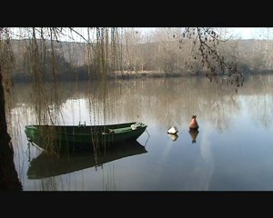 Bord de Seine à Pressagny