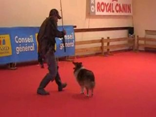 DJA à Remoulins : 3ème Concours Catégorie 1ère Pas