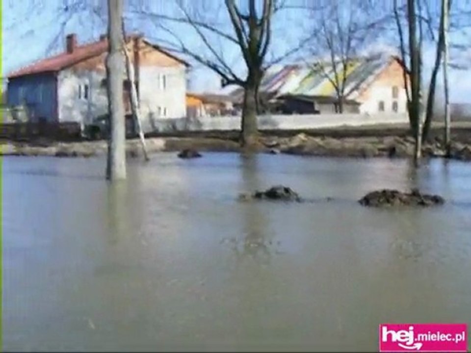 Rzeka podtapia gospodarstwa w Krzemienicy.