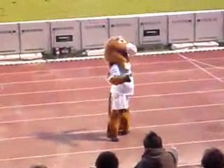 pottoka dans tout ses états !