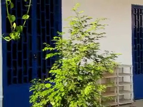 Jeux d'enfants à Battambang, Cambodge