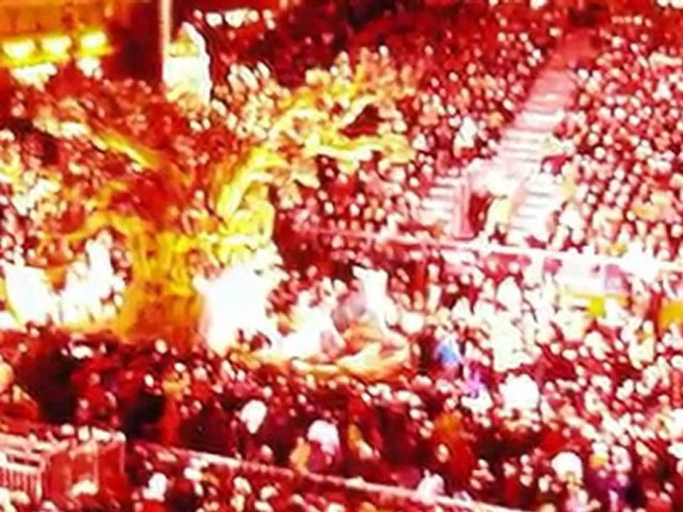 Carnaval de Nice 2010 (2)