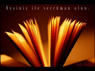 Martı Jonathan Livingston - İrem Erzü