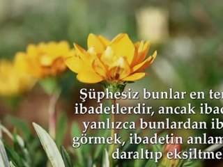 Hayatın Tümü Bir İbadettir