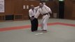 Aikido Shomen uchi Irimi nage正面打入身投（一教流れ）