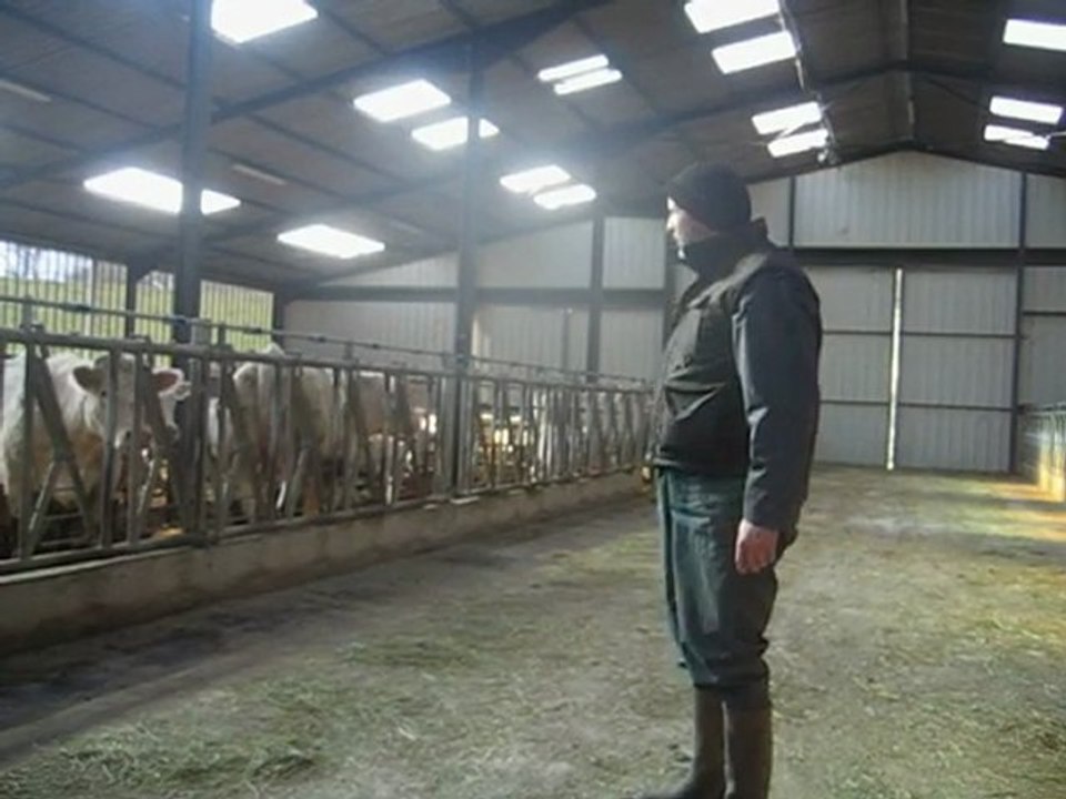 Quel caractère ces vaches !