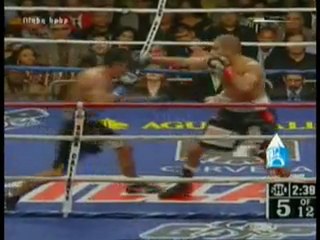 Vic Darchinyan vs. Rodrigo Guerrero Round 4-5