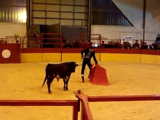 Avant féria de Palavas: Novillada du 06/03/10