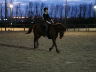 Celine et Antartis - galop sur 8