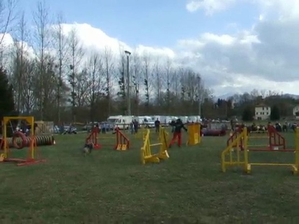 Under Jump Pointis 2010